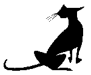 Wandering Cat Yarns