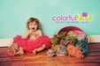 Colorful Nest