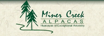 Miner Creek Alpacas
