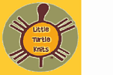 Little Turtle Knits