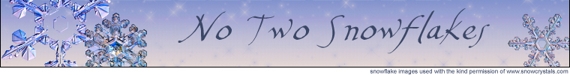 No Two Snowflakes