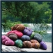 Hiwassee Creek Dyeworks