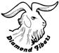 Diamond Fibers
